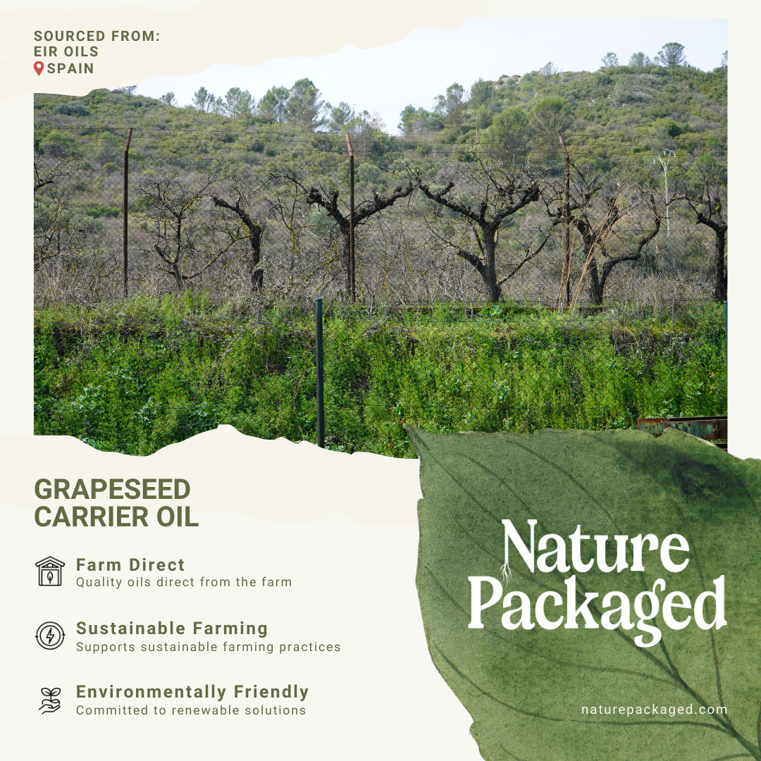 Grapeseed Carrier Oil - 100% Pure - Farm-Direct Sourcing: 16 oz