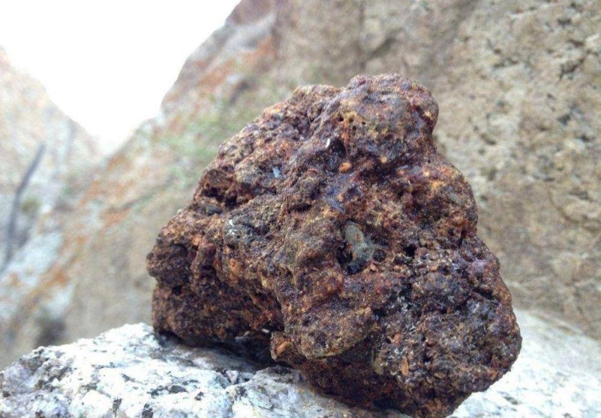 Himalayan SHILAJIT Gummies with Black Pepper + Ashwagandha