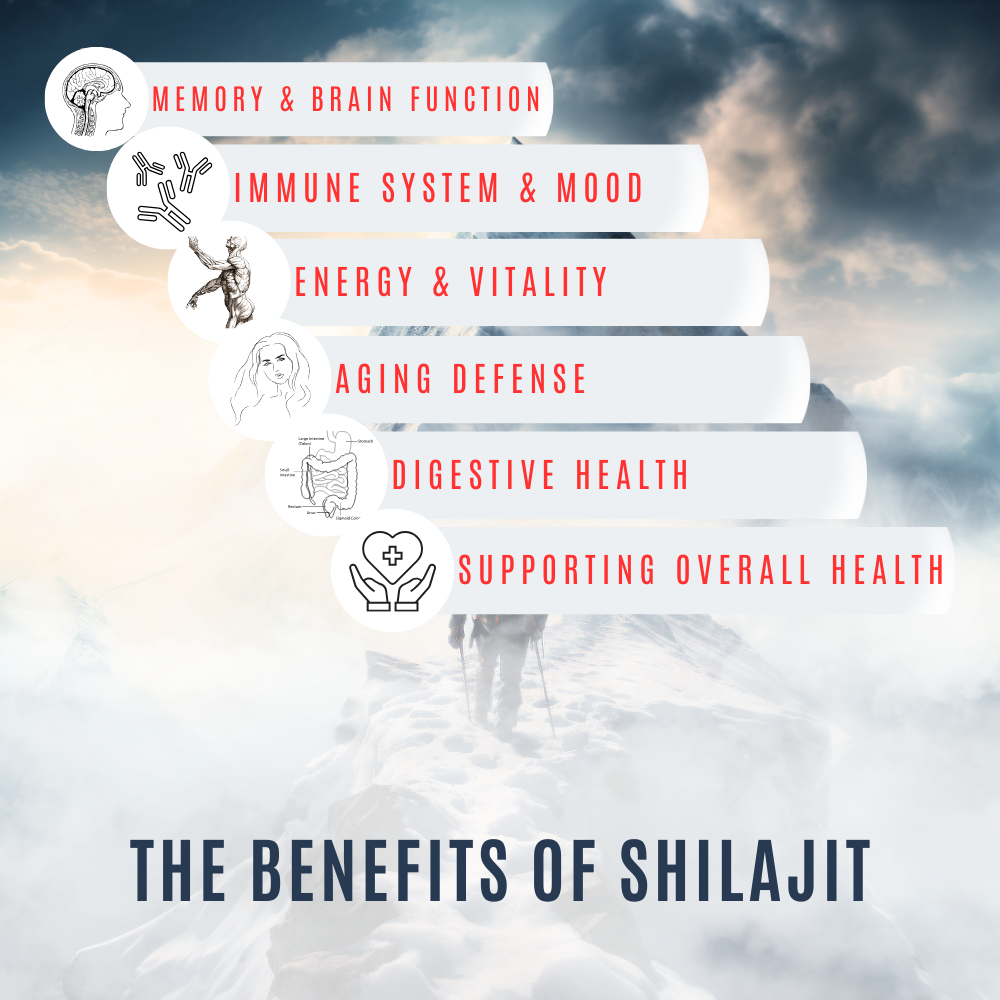 Himalayan SHILAJIT Gummies with Black Pepper + Ashwagandha