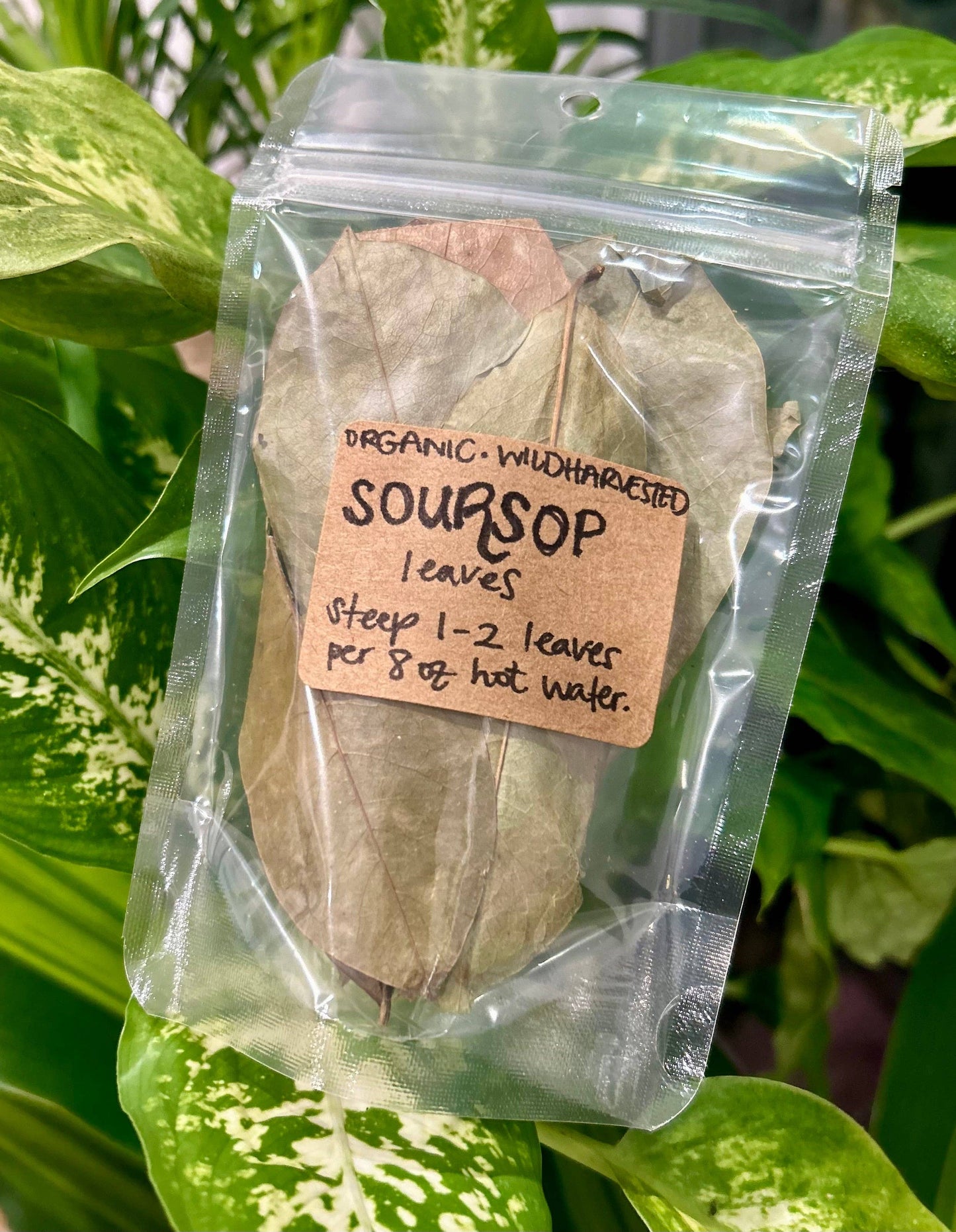 Organic Dried Soursop Leaves