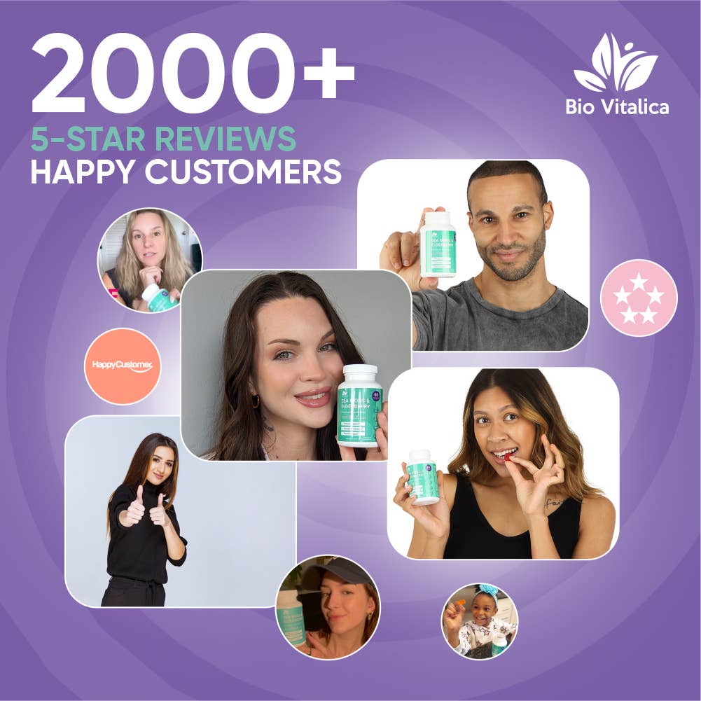 Sea Moss Elderberry Gummies