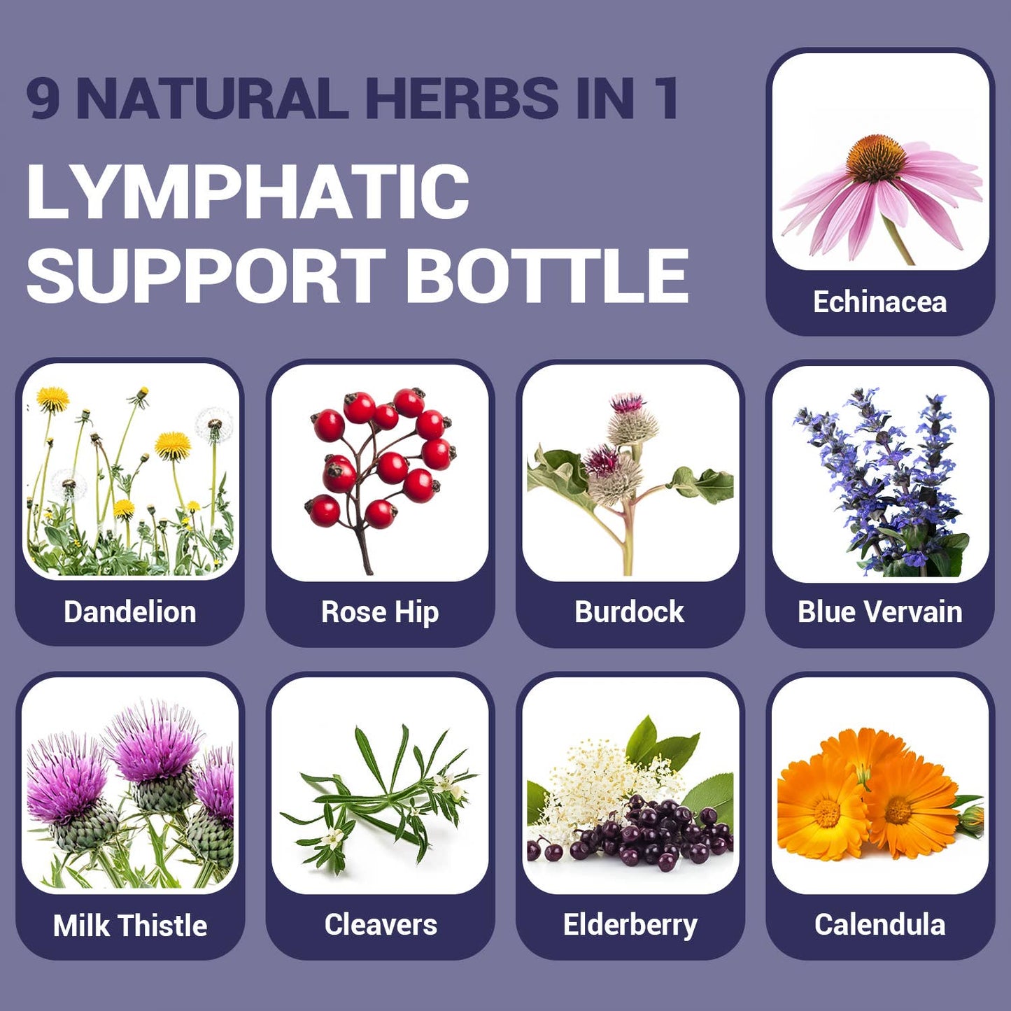 HARMONIFY Lymphatic Drainage Drops – Herbal Detox & Fluid Balance Support | Natural Blend with Elderberry, Burdock Root, Dandelion & Echinacea | Supports Immune & Circulatory Health | 2 fl oz (60 mL)