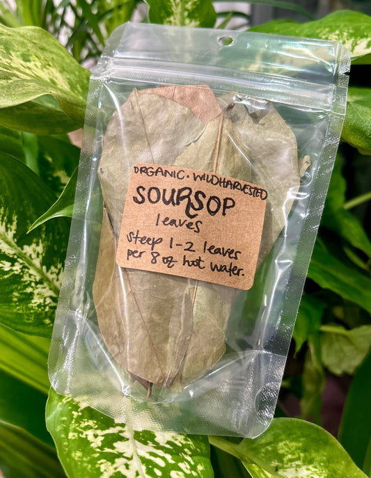 Organic Dried Soursop Leaves