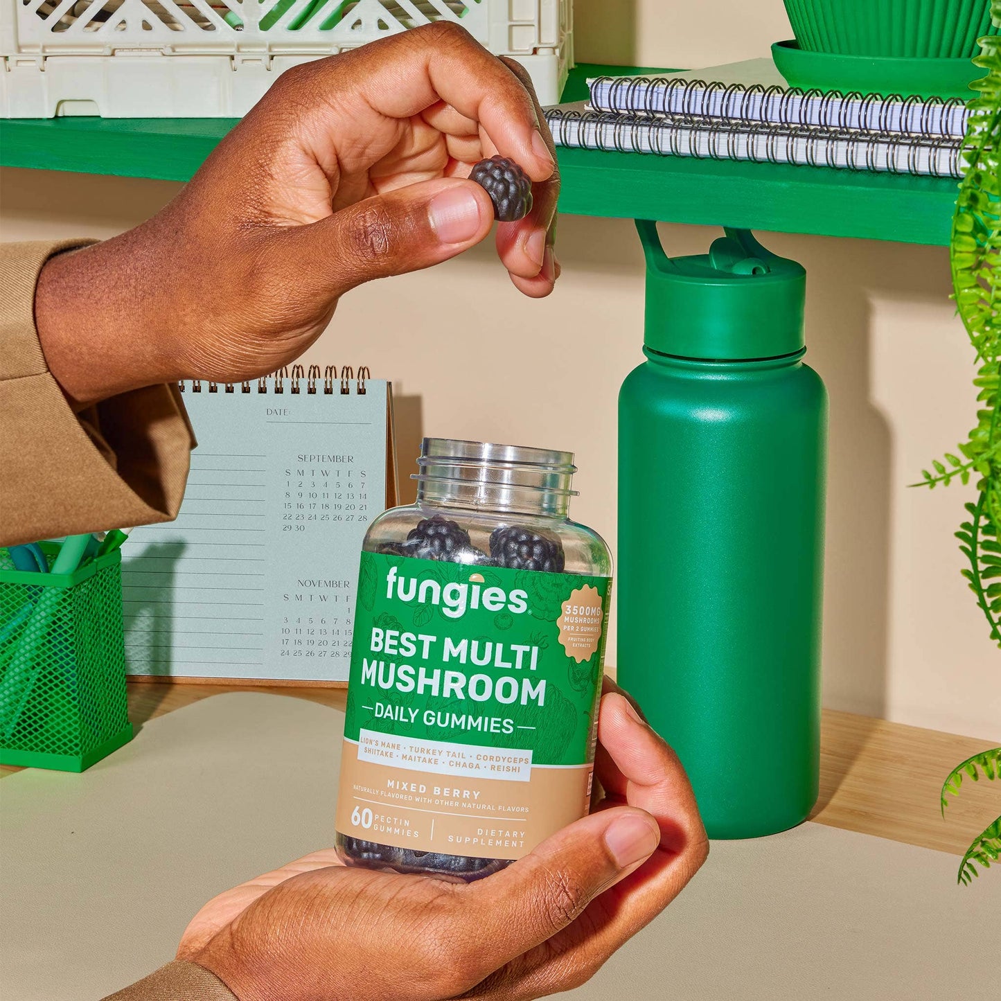 Fungies Best Multi Mushroom Daily Gummies
