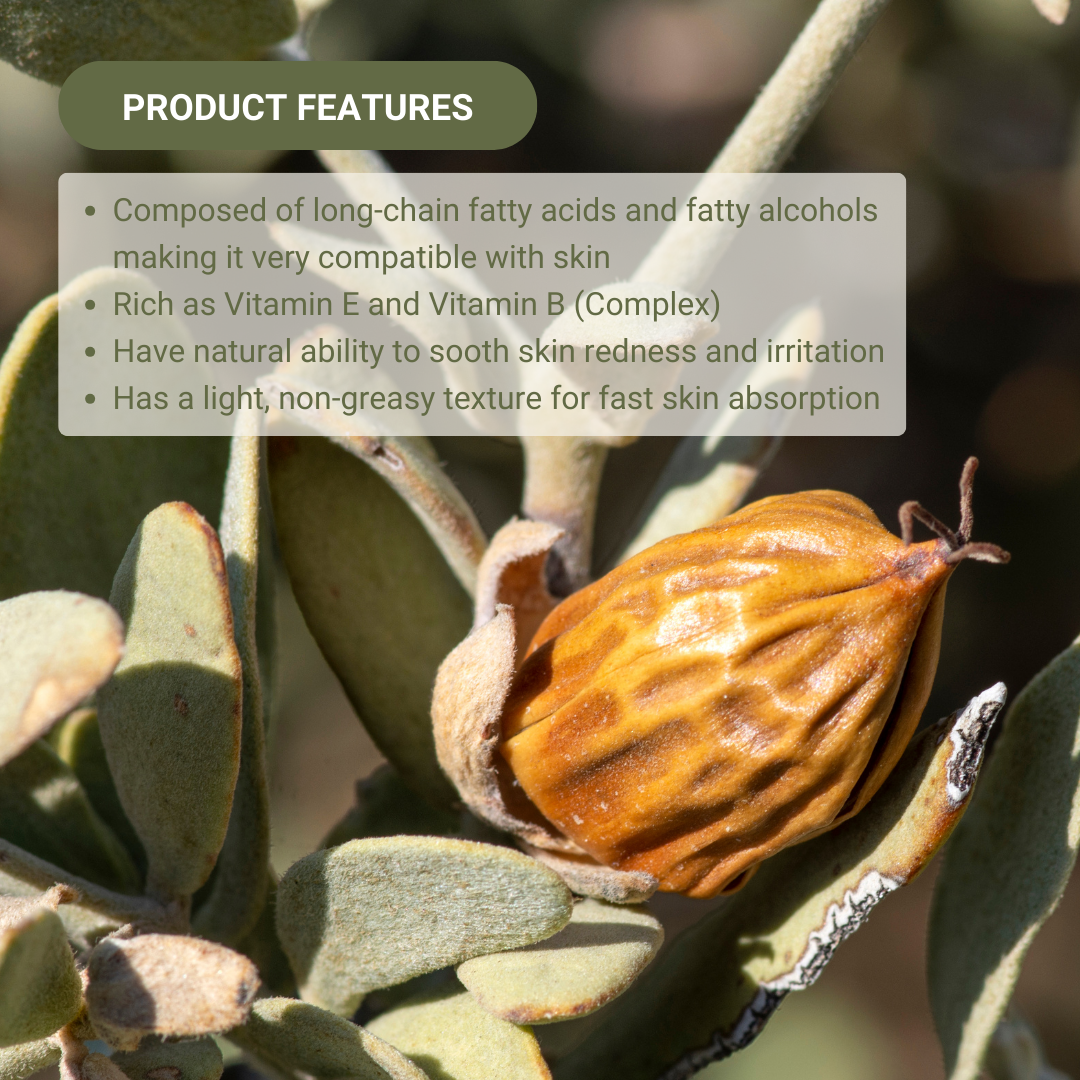Jojoba Carrier Oil - 100% Pure - Farm-Direct Sourcing: 1 Gallon