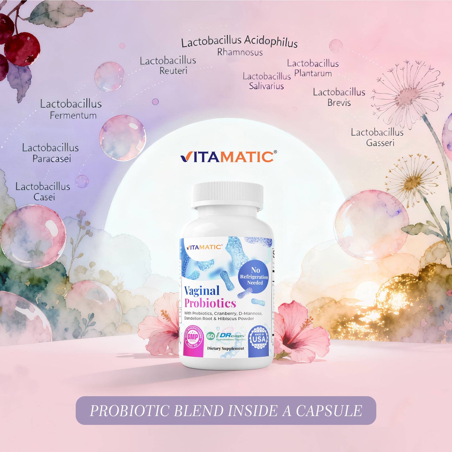 Vitamatic | Vaginal Probiotics 20 Billions 60 DR Capsules