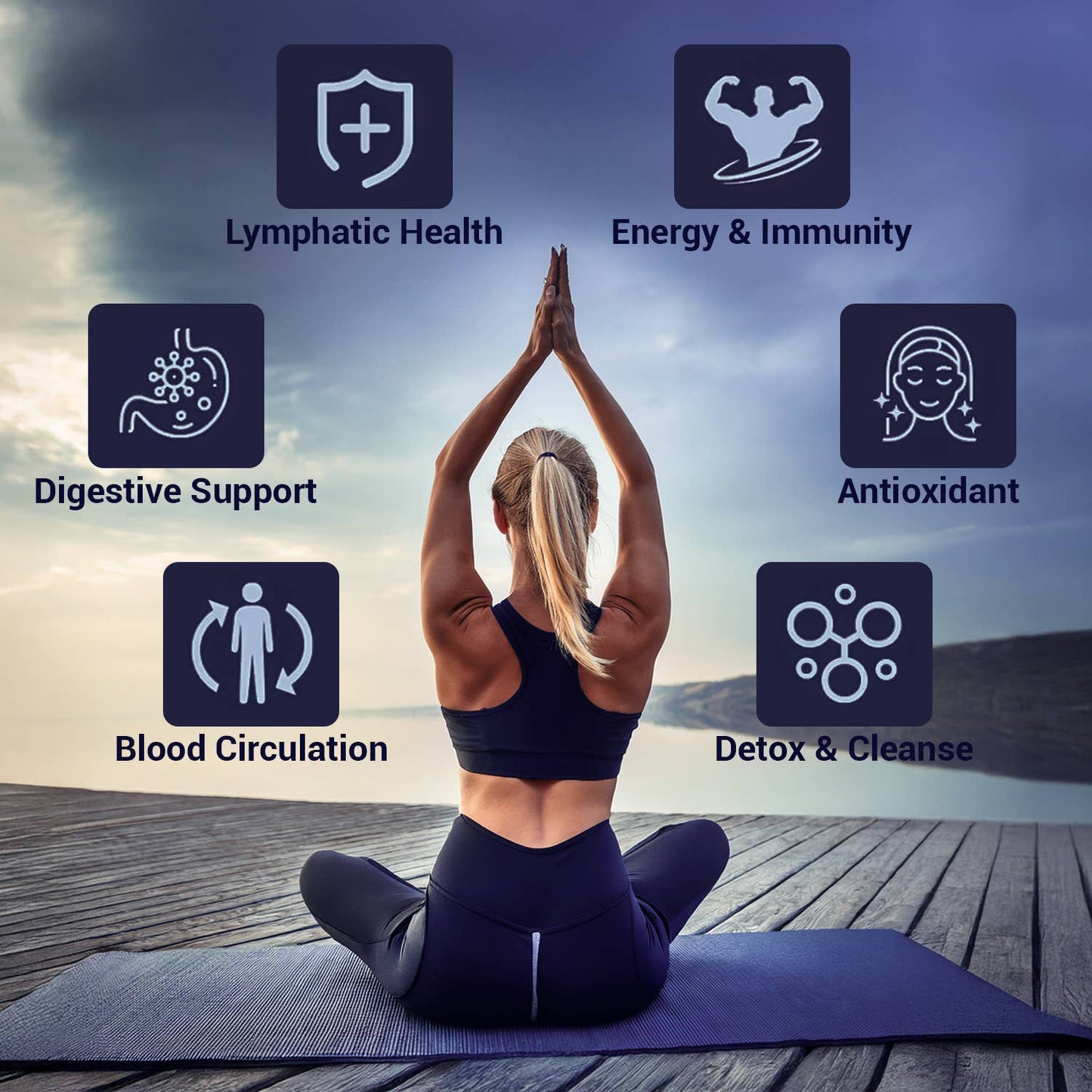 HARMONIFY Lymphatic Drainage Drops – Herbal Detox & Fluid Balance Support | Natural Blend with Elderberry, Burdock Root, Dandelion & Echinacea | Supports Immune & Circulatory Health | 2 fl oz (60 mL)